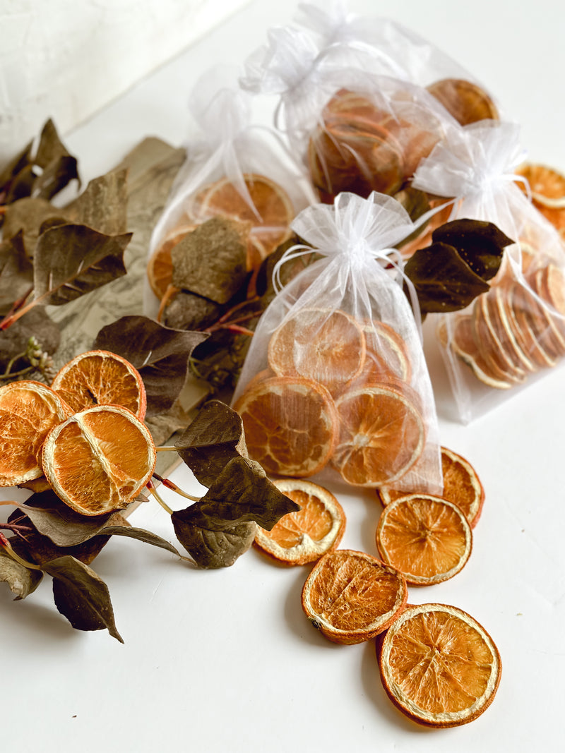 Dried Oranges (Set of 11)