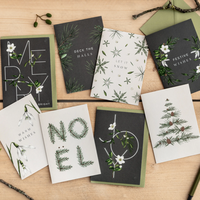 Box Set of 8 Luxury Botanical Christmas Cards - Festive Foliage