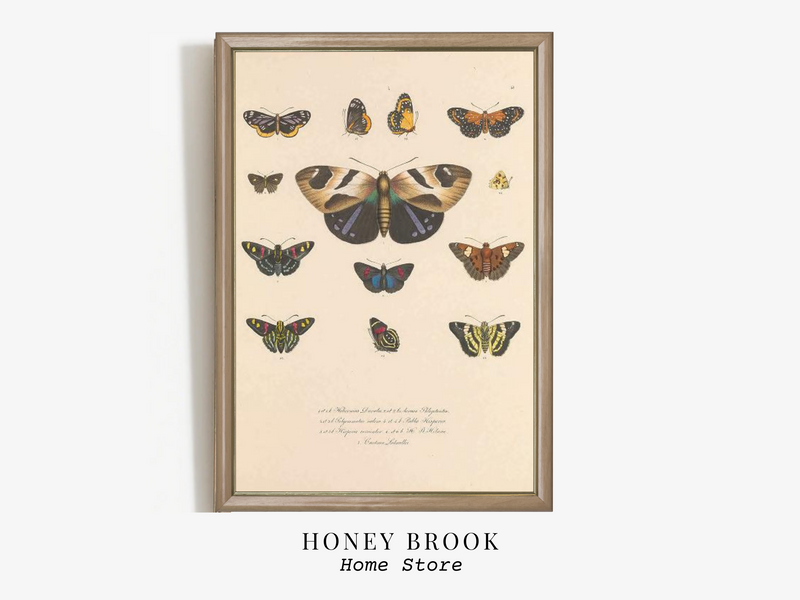 Vintage Butterfly Wall Art | Digital Download